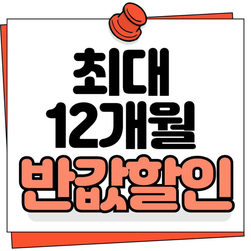 12개월반값